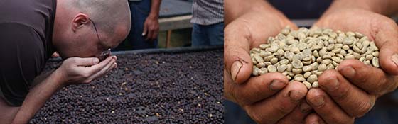 Now Helping 5,000+ Farmers Pursue Economic Sustainability