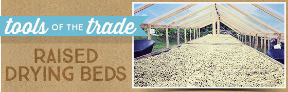 Raised Drying Beds – a proven method